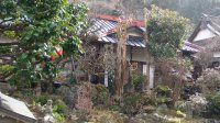 DSC01087.JPG